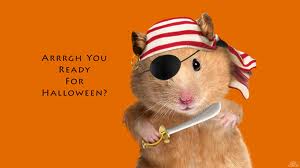 piratehamster.jpg