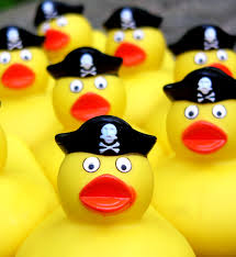 pirateducks.jpg